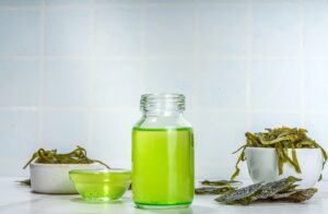 Algae oil