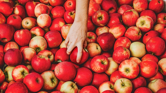 What fruits are good for thyroid problems ? Apple