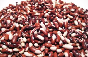 Beans