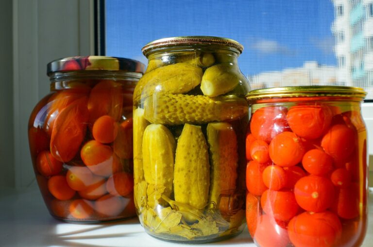 Fermented vegetables