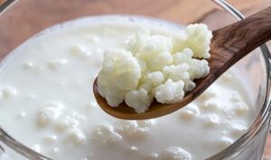 Kefir