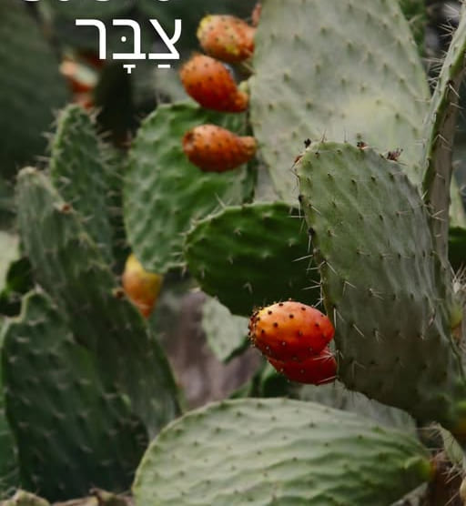 What Does Sabra Mean in Hebrew