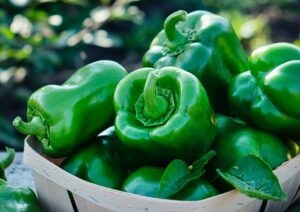 green peppers