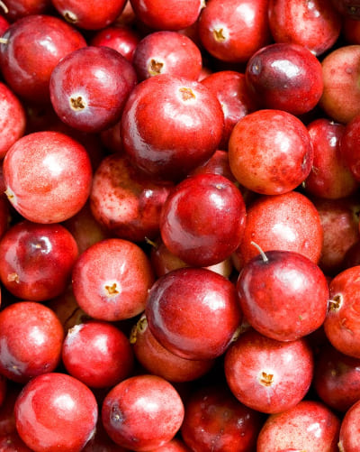 Absolute maturity reds, acidic and potent2