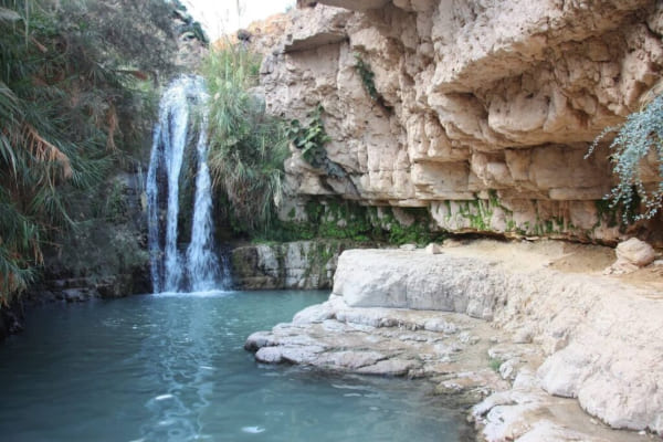 Ein Gedi an oasis among deserts