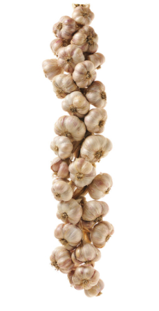 Garlic beyond hummus and Sephardic cuisine