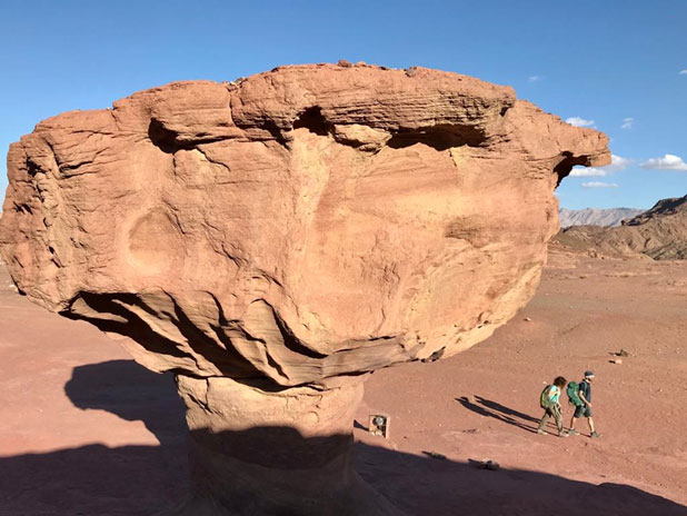 Hidden treasures in the Israeli deserts