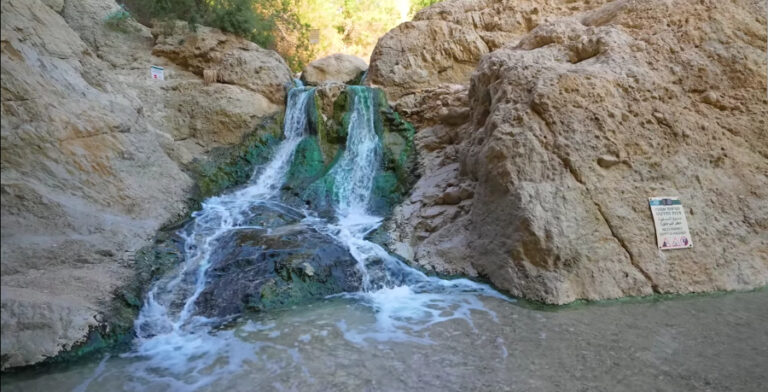 The Six Jewels of the Israeli Desert