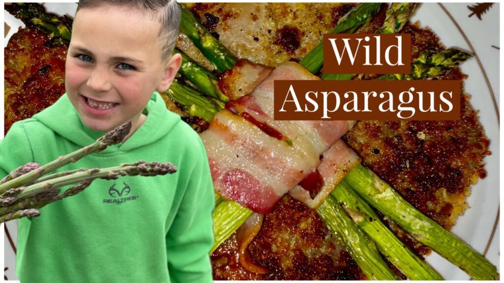 how to identify wild asparagus